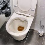 Wc verstopt Nieuw-Vennep